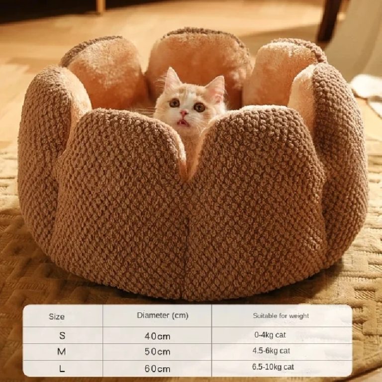 Cat Bed Round Petal-Shaped Pet kitten bed brown