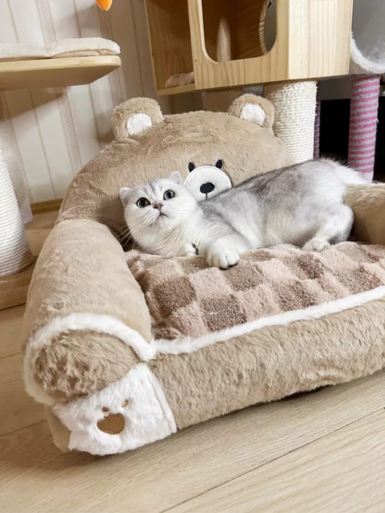 Cat Bed Warm Cozy Cat Mat Cat Sofa Dog Bed dog sofa-6
